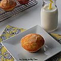 Muffins à l'orange et aux amandes, sans gluten et sans lactose