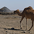 P1210097