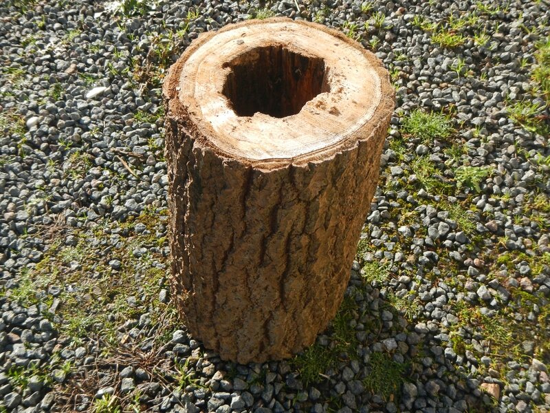 Fabrication de nichoirs - Mamitéou  dans le jardin