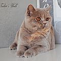 _DSC0553