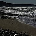 IMGP8581
