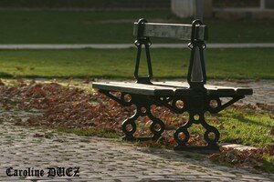 banc_10_nov_2006_461_copie