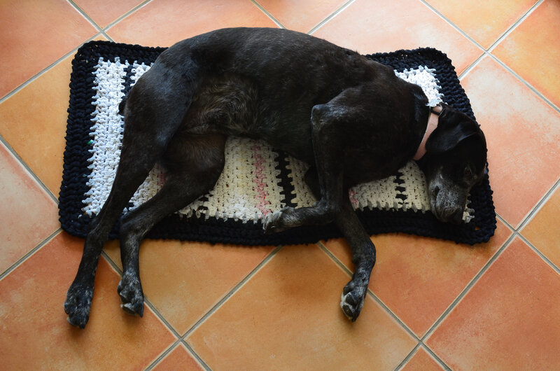 Tapis Trapilho- Zpagetti-crochet-DIY-Récup'- La chouette bricole (3)