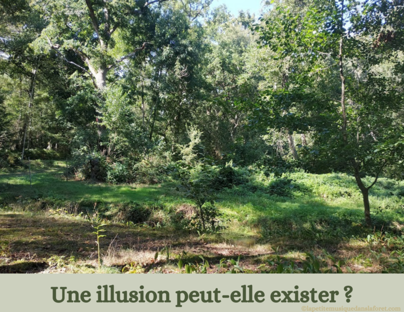 25 KOAN ZEN Une Illusion peut elle exister