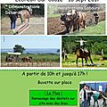 16 sept 2017 - journée de la traction animale - lebreuil sur couze (63)