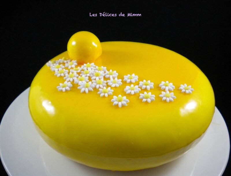 Entremets Soleil de Malibu 6