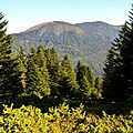 Le Pic Soulaing, 1589m, depuis les prairies.