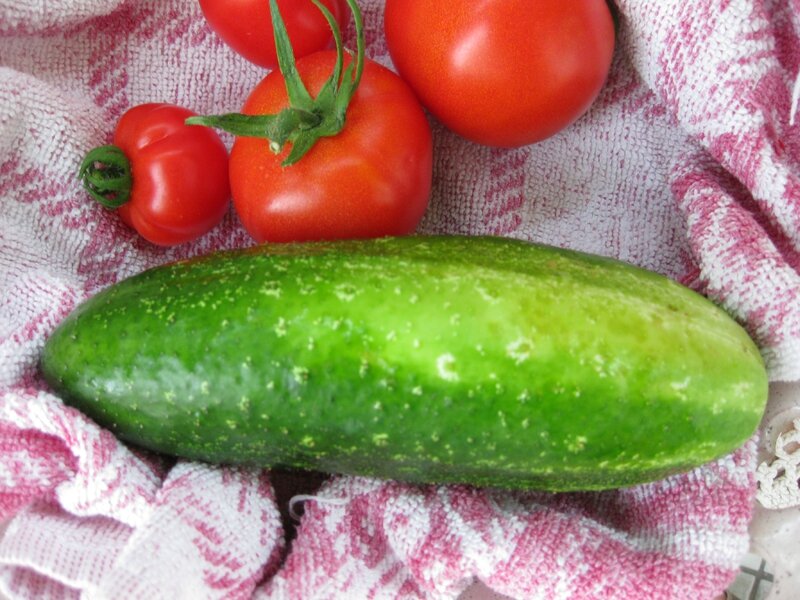 QUE FAIRE DES GROS CORNICHONS ? TOUCHE A TOUT