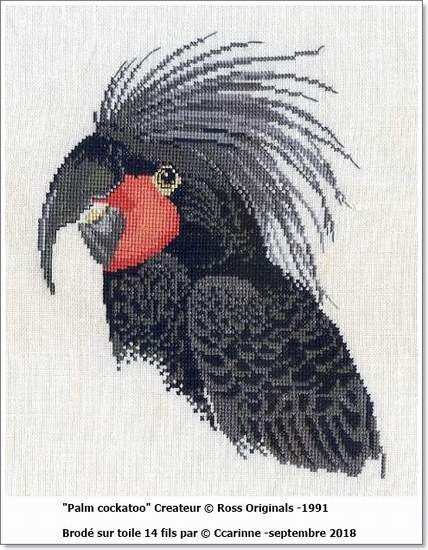 Fini - Palm Cockatoo soit cacatoes des palmiers 121211738