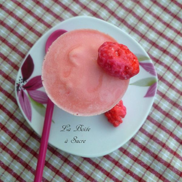 Glace pralines St Genix 2