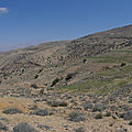 P1000773