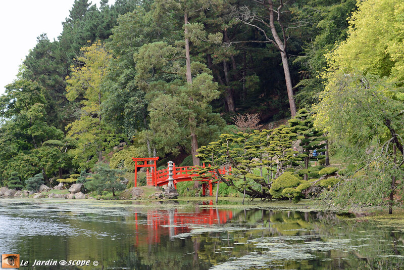 PAT_0927 Parc Oriental de Maulévrier