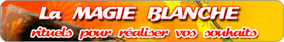 logo_dept_magie_titre