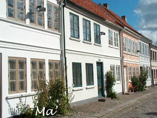 2008_DK_odense-(2)