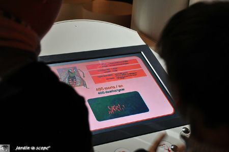 Araignée-Museum Paris