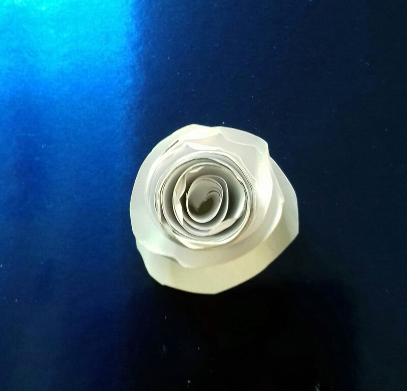 bouton de rose papier imprimante