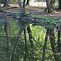 IMG_0255