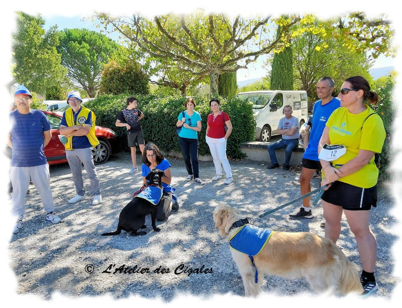 2022_Handi-run_11