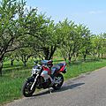 IMG_0002 - Copie