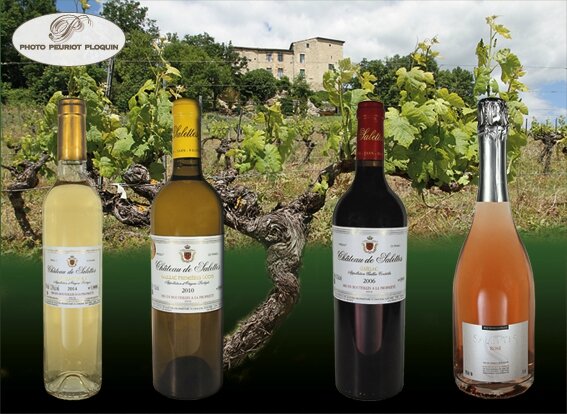 Chateau_de_Salettes_bouteilles_et_vignobles