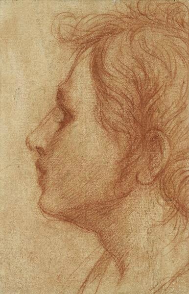 Head of a Youth in Profile, ca