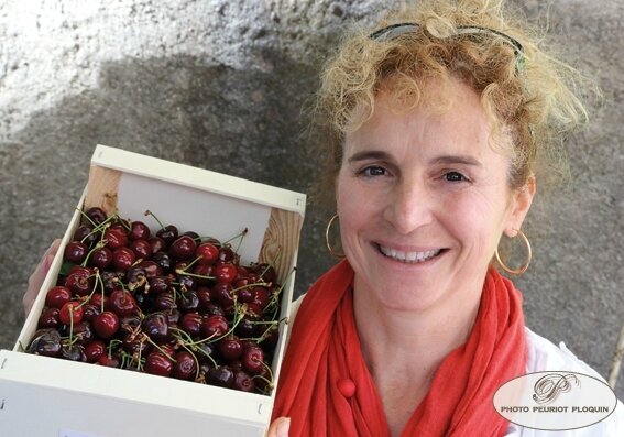 Trausse_Minervois_11_fete_de_la_cerise_variete_Burlat_