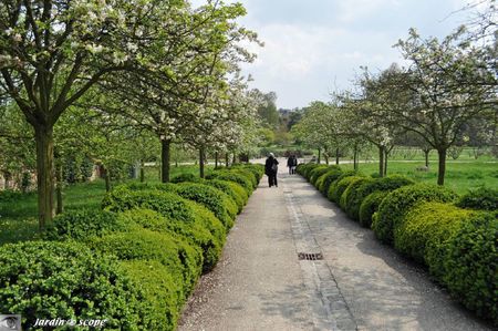 Arboretum-Vallée-des-Loups
