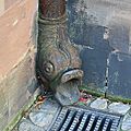 IMG_1436
