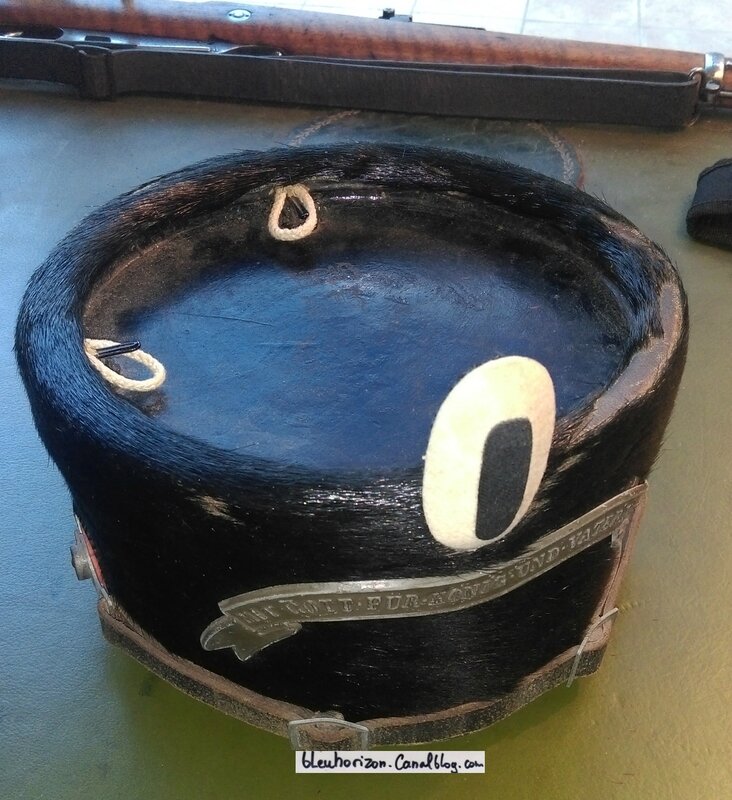 COLBACK1LOG