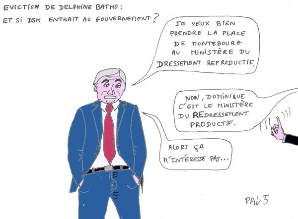 Pal5_DSK