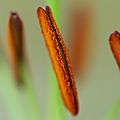 IMGP0641_