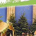 Le carillon n° 50 janvier 2021