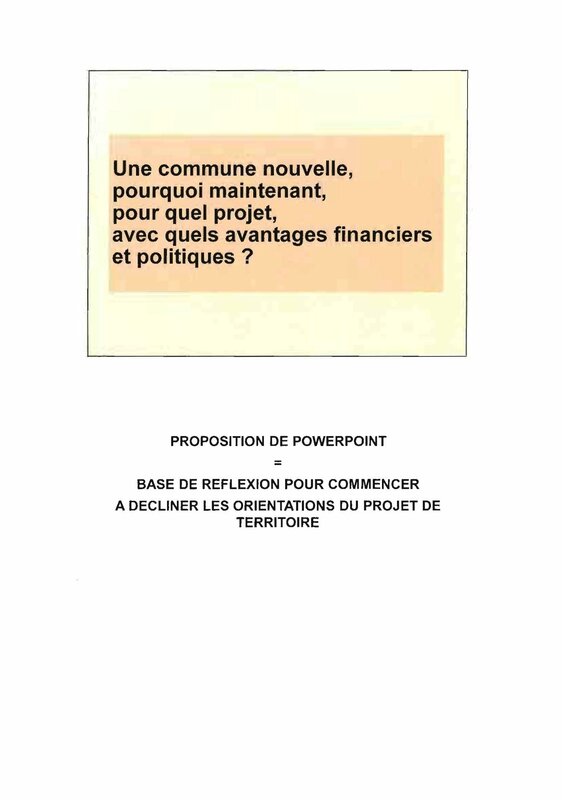 Commune nouvelle Esquisse des orientations du projet de territoire_Page_01