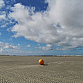 IMG_0006
