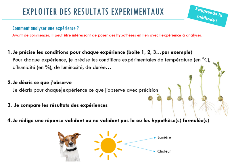 évaluation Svt 6ème Les Végétaux Au Cours Des Saisons pdfprof.com
