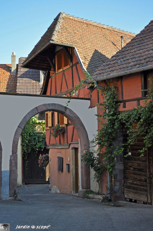 A Pfaffenheim, un charmant village alsacien