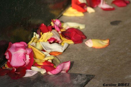 10_octobre_2007_270_copie