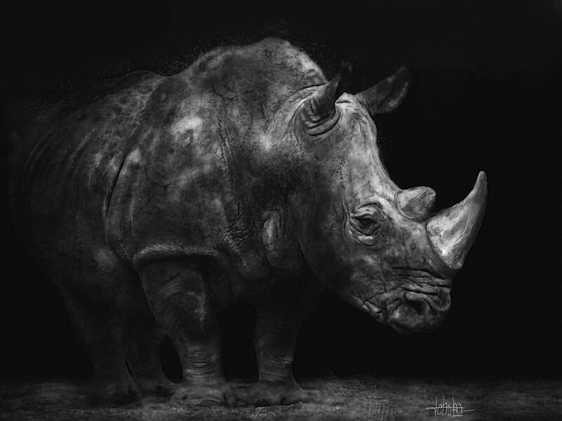 rhino 2