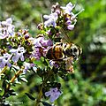 20160410_124941