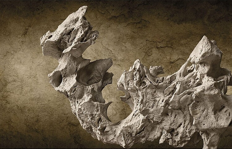 H0046-L16413324