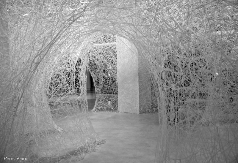 chiharu shiota 6150nA