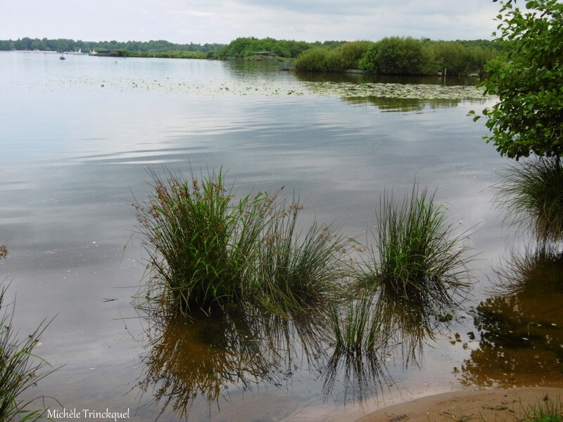 1-Balade au Lac 050819