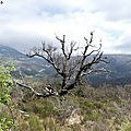 P1000755 (2)