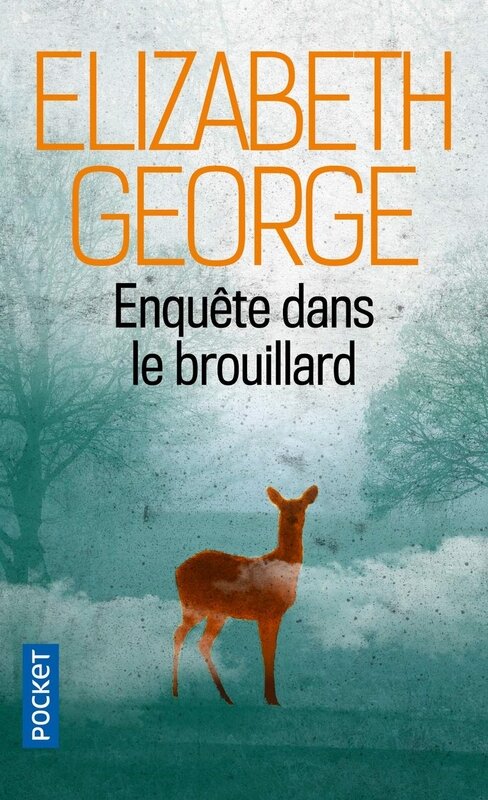 enquête dans le brouillard