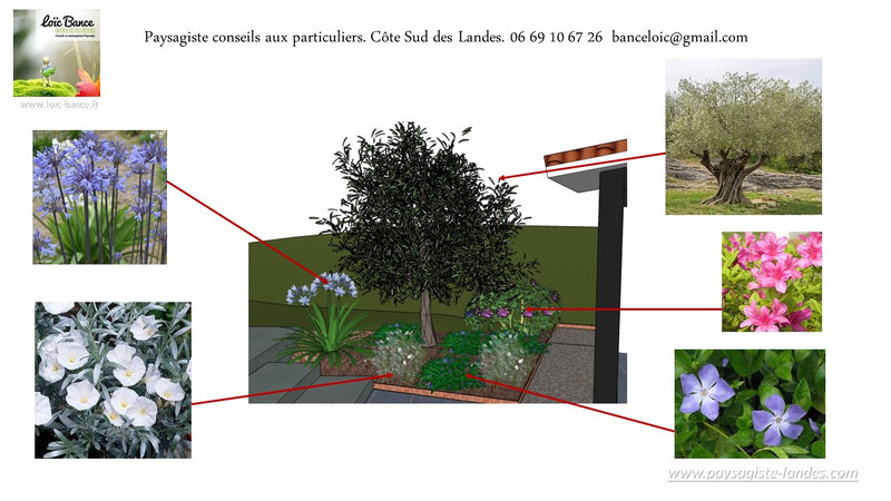 64-Concepteur-de-jardins-Mimbaste-40350-Paysagiste-Landes