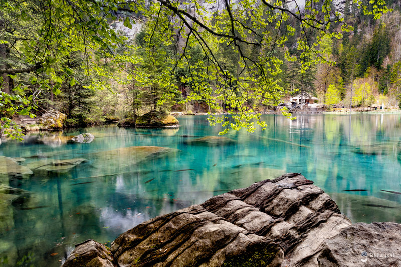 pexels-h-emre-2776479