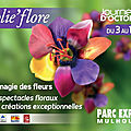 Quelques images de folie’flore 2013 à mulhouse