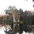 novembre sur l'eau...
