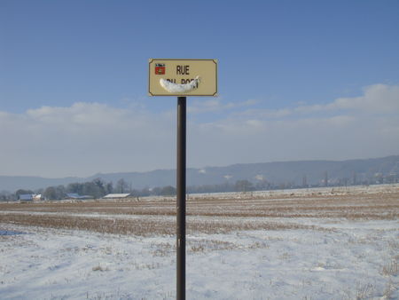 DSC01237