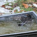 IMG_4350